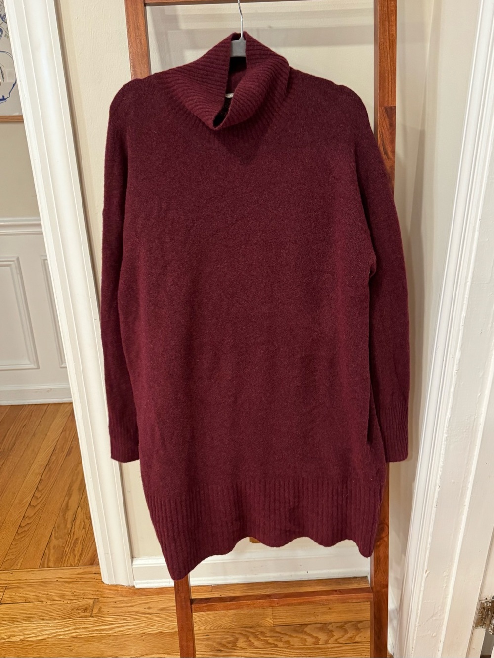 Everlane Burgundy Turtleneck Sweater Dress